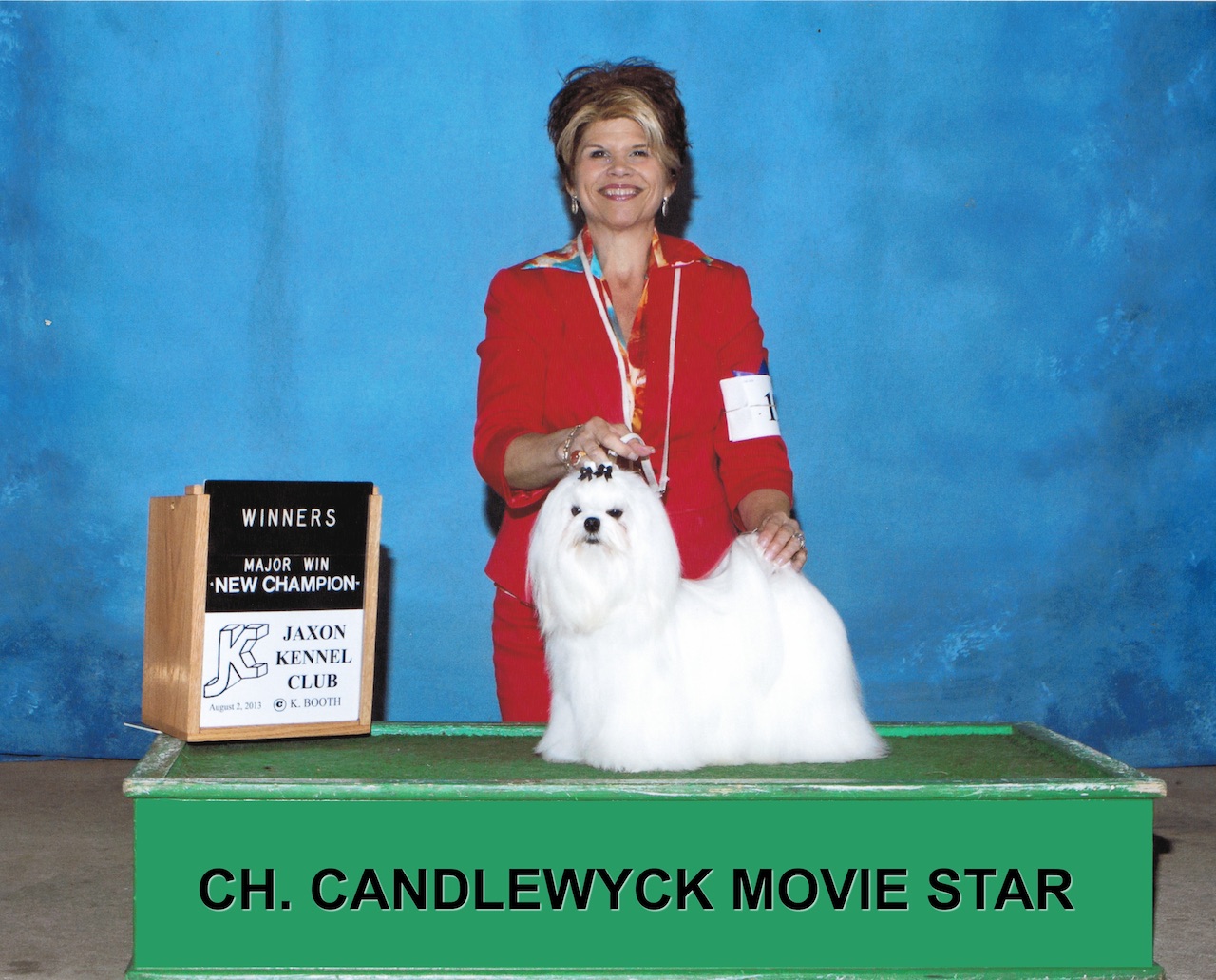 Ch. Candlewyck Movie Star (aka Cooper) Allevamento dei Prati Verdi