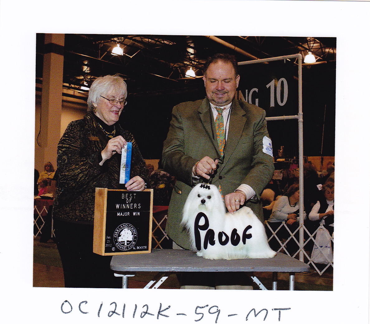 Ch. Candlewyck Movie Star (aka Cooper) Allevamento dei Prati Verdi